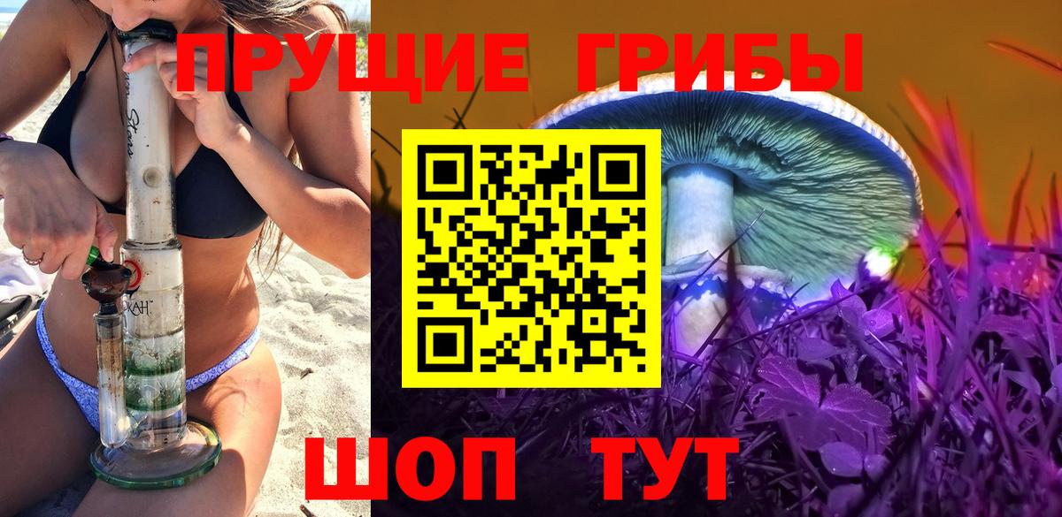 Псилоцибиновые грибы мухоморы  Вход с VPN  Урус-Мартан  Галлюциногенные грибы мухоморы 
